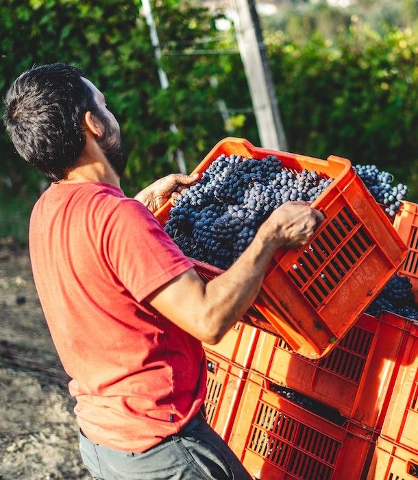 Le club des vignerons - NOS PRESTATIONS : L’ART ET LA MANIÈRE…